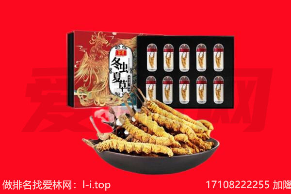 成都市青羊回收虫草.jpg